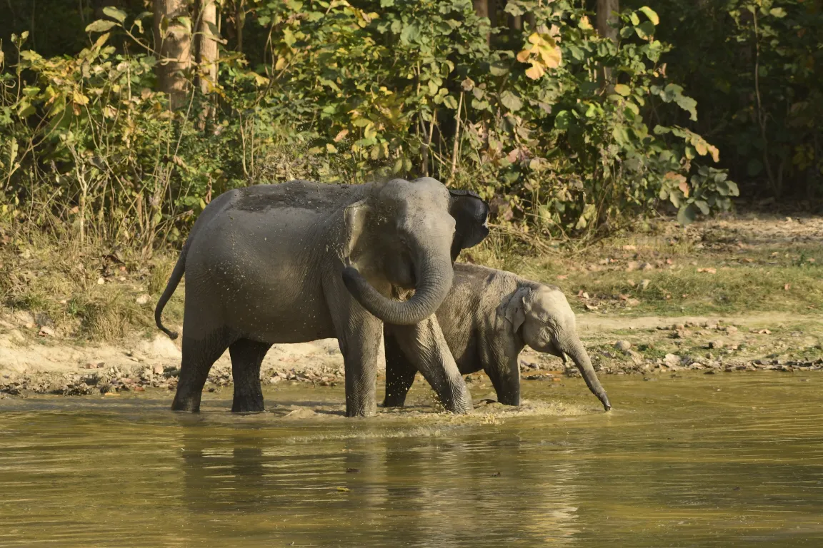 Wildlife Photography Tour